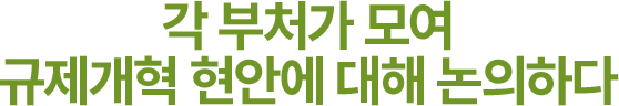 각 부처가 모여 규제개혁 현안에 대해 논의하다