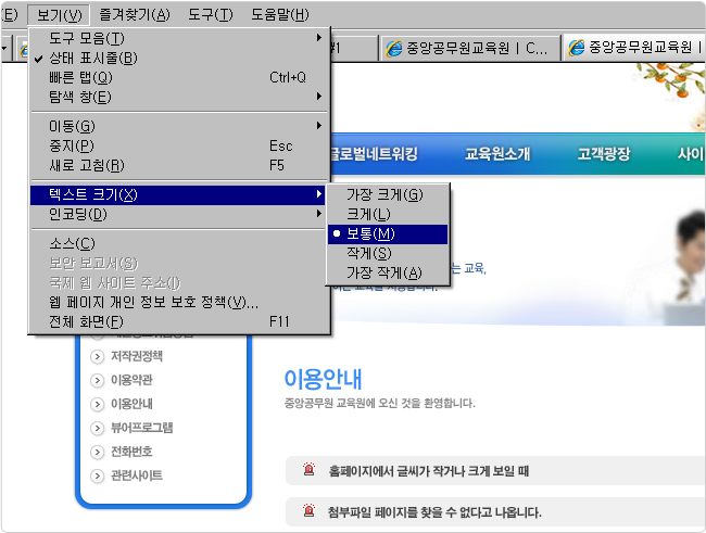 홈페이지에서 글씨가 작거나 크게 보일 때 설명 이미지