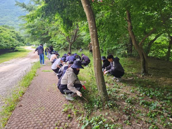 제71기 신임관리자과정(공채) 국립공원 봉사활동(6.8~10.)